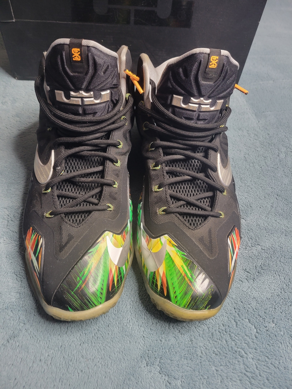 Nike Lebron 11 Everglades 2014